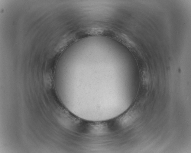 X0000072550370200607141258