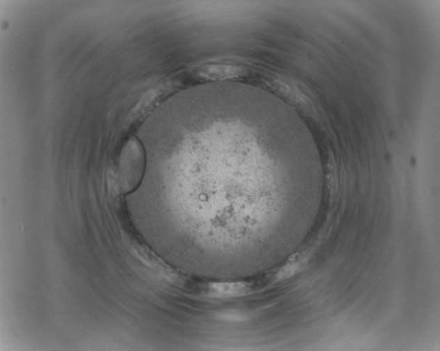 X0000072550371200607141258