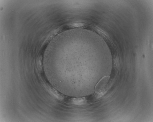 X0000072550373200607141258