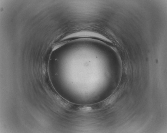 X0000072550374200607141258