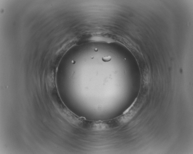 X0000072550376200607141258