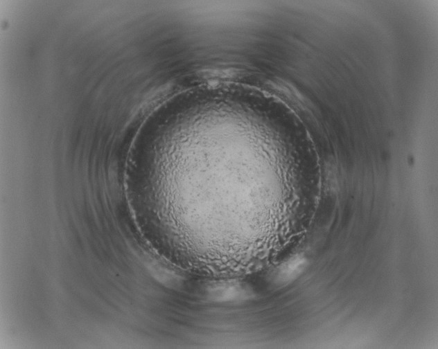 X0000072550377200607141258