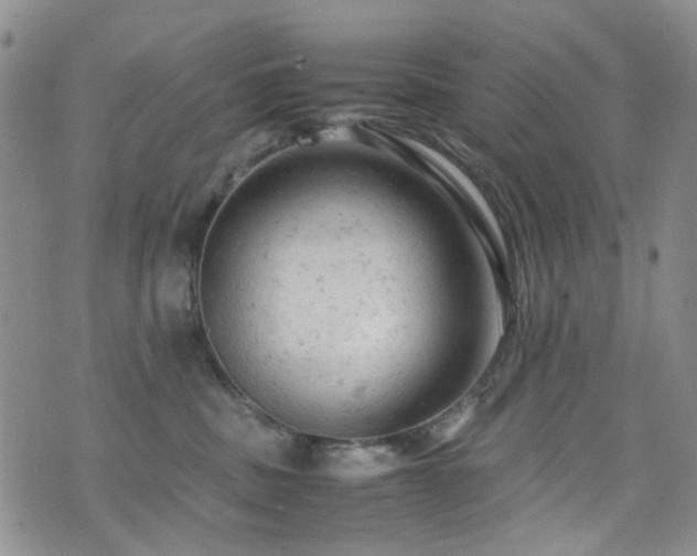 X0000072550379200607141259