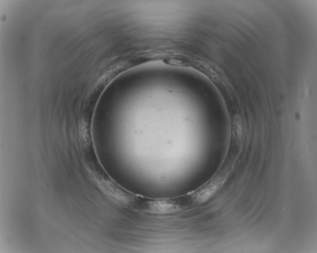 X0000072550380200607141259