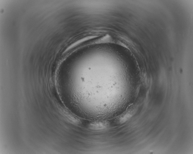 X0000072550381200607141259