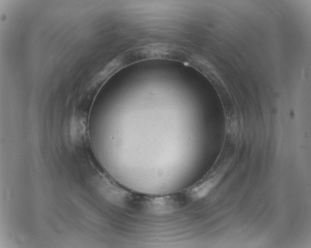 X0000072550382200607141259