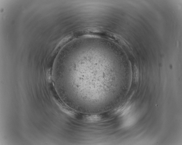 X0000072550383200607141259