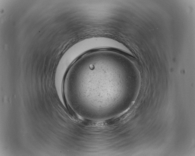 X0000072550384200607141259