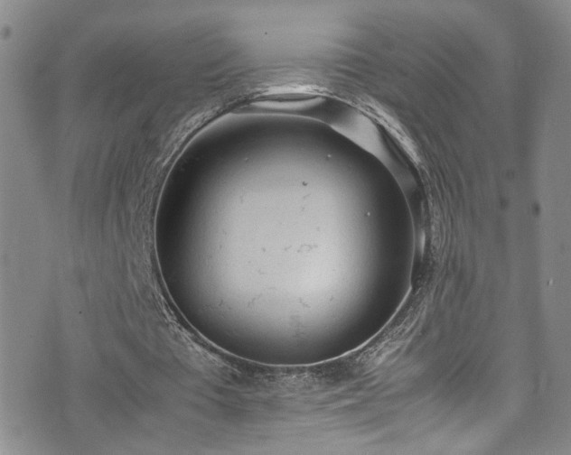 X0000072550385200607141258