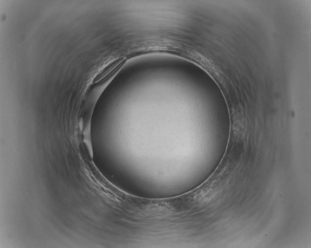 X0000072550386200607141258