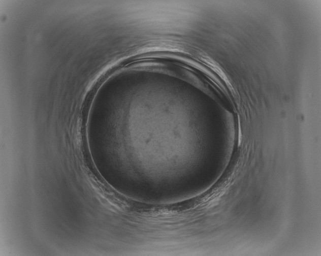 X0000072550387200607141258