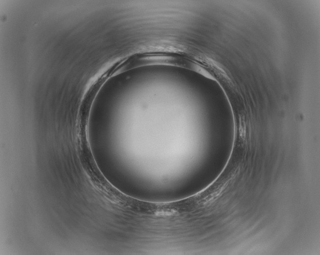 X0000072550388200607141258