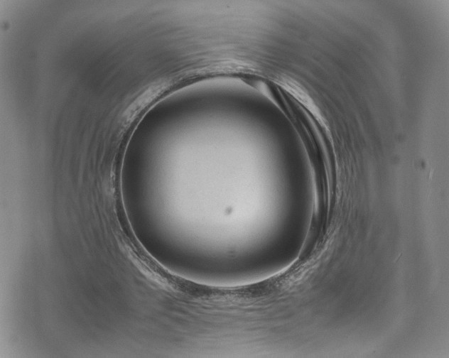 X0000072550389200607141258