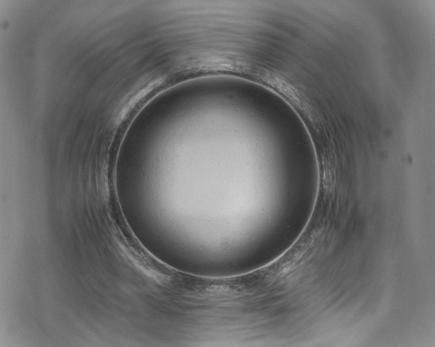 X0000072550390200607141258