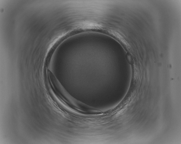 X0000072550391200607141258