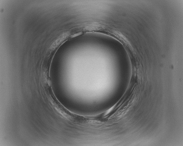 X0000072550393200607141258