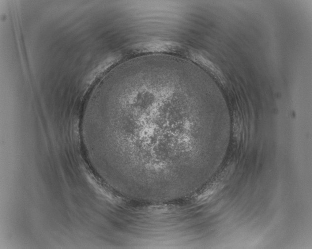 X0000072550394200607141258