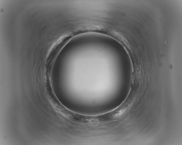 X0000072550395200607141258