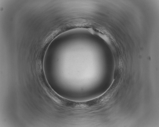 X0000072550397200607141258