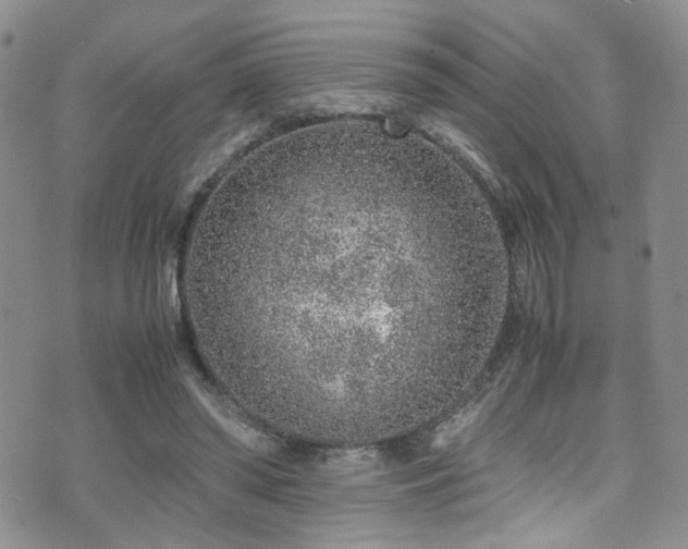 X0000072550398200607141258