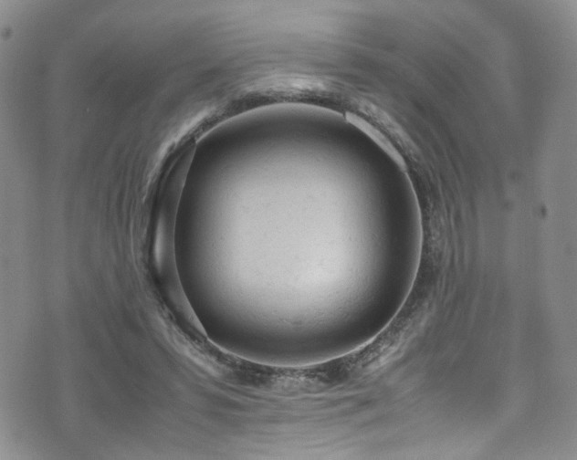 X0000072550399200607141258