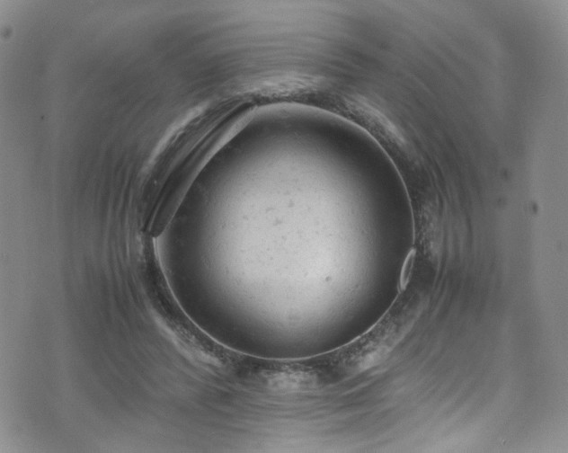 X0000072550400200607141258