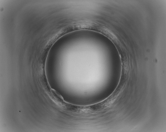 X0000072550401200607141258