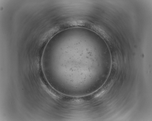 X0000072550402200607141258