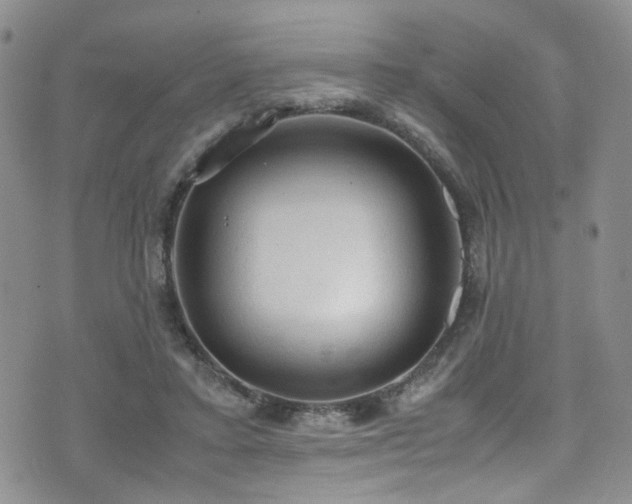 X0000072550403200607141258