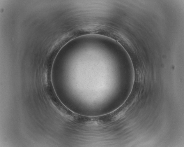 X0000072550404200607141258