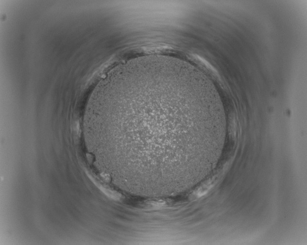 X0000072550405200607141258