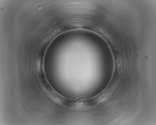 X0000072550406200607141257