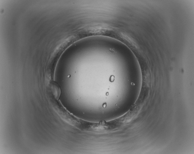 X0000072550407200607141257