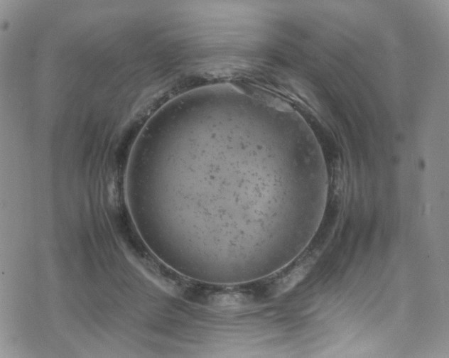 X0000072550408200607141257