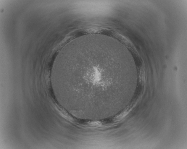 X0000072550409200607141257