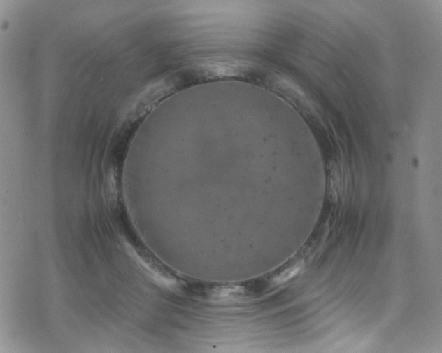 X0000072550410200607141257