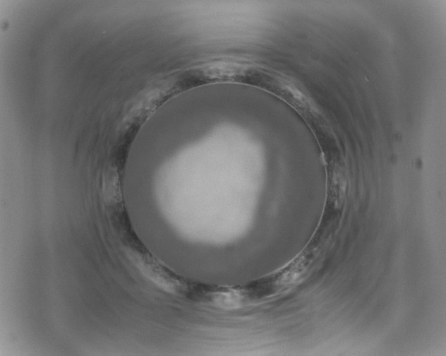 X0000072550411200607141257