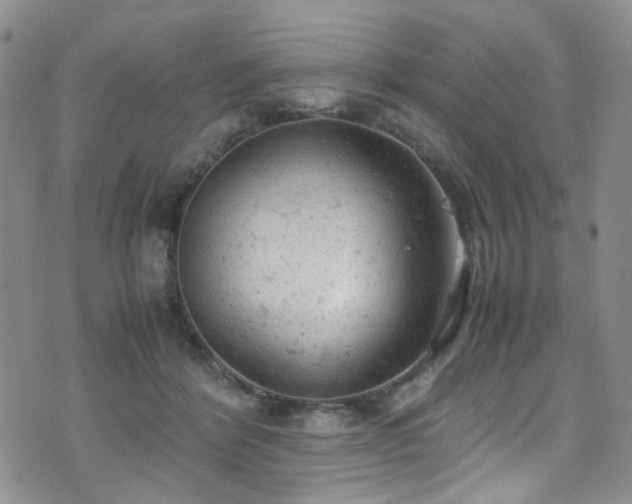 X0000072550412200607141257