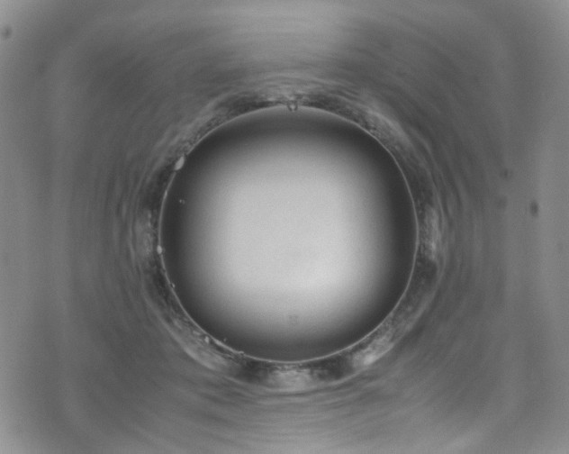 X0000072550413200607141257