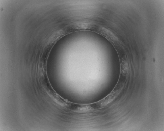 X0000072550414200607141257