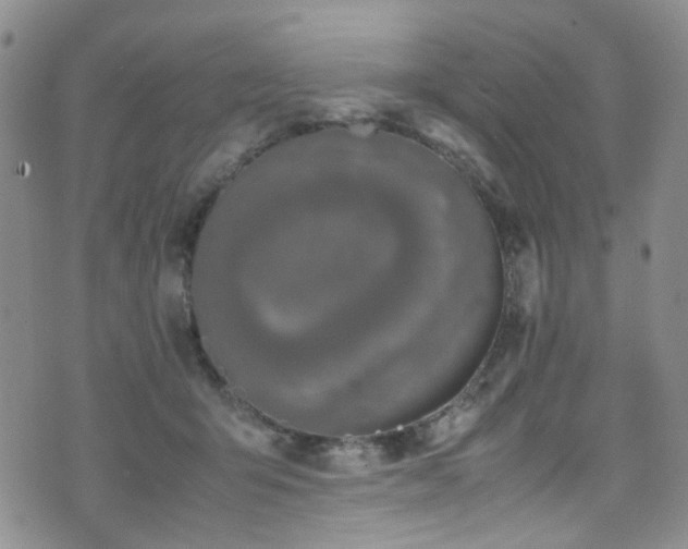 X0000072550415200607141257