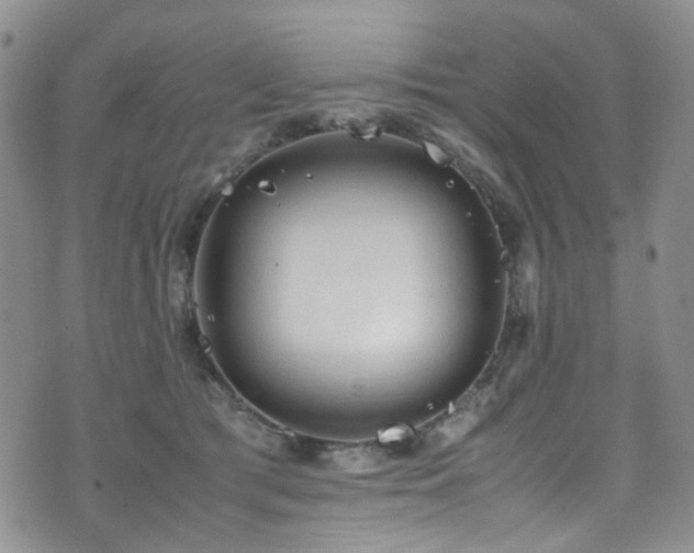 X0000072550417200607141257