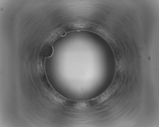 X0000072550418200607141257