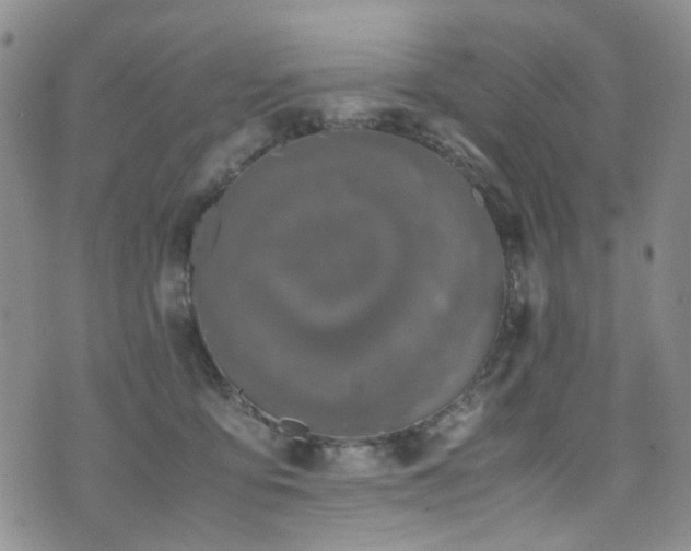 X0000072550419200607141257