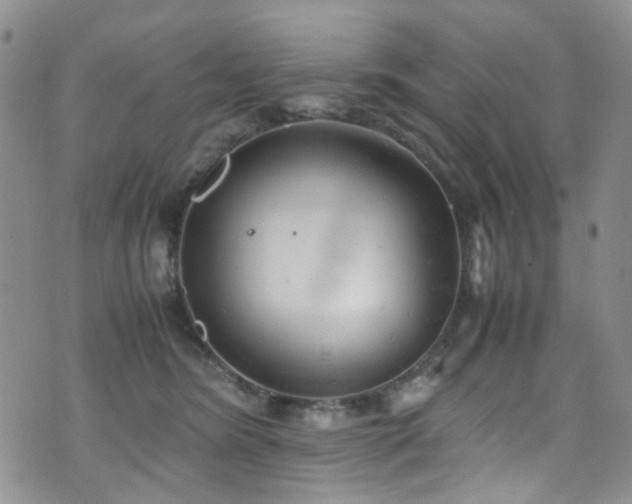 X0000072550420200607141257