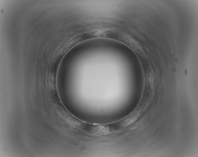 X0000072550421200607141257