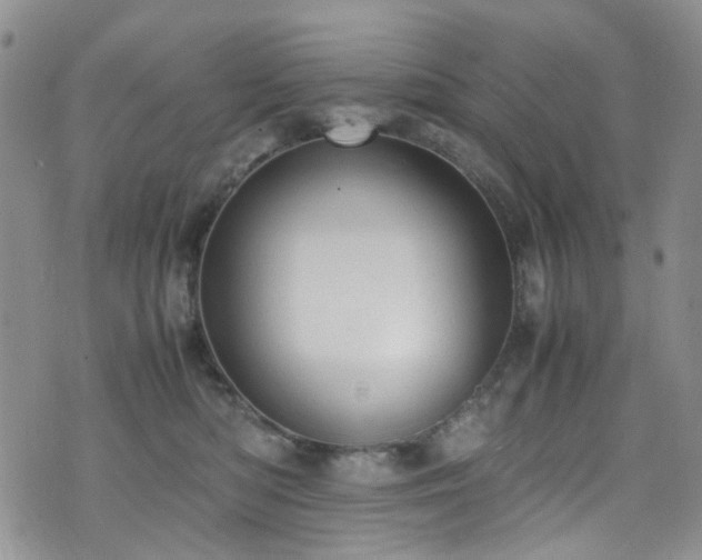 X0000072550422200607141257