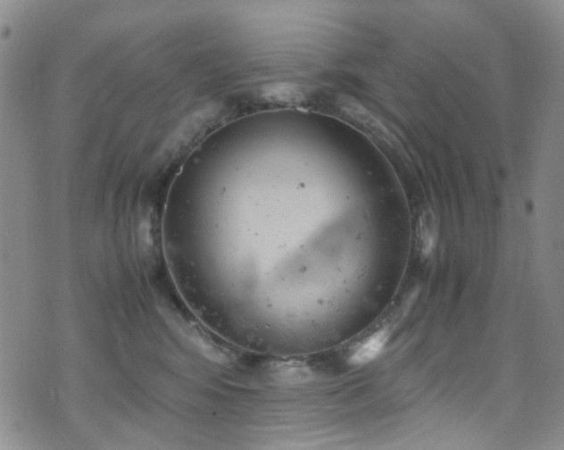 X0000072550424200607141257