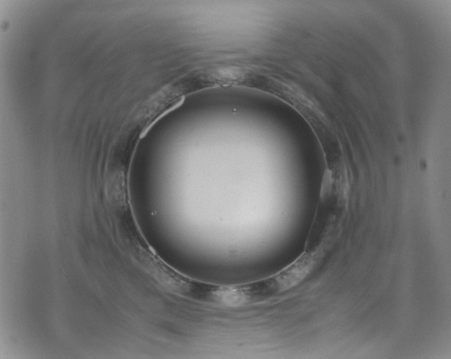 X0000072550425200607141257