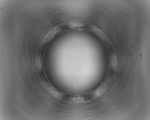 X0000072550426200607141257